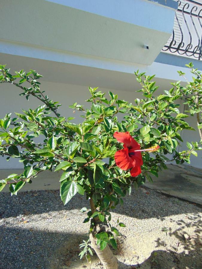 Villa Dora Фалираки Экстерьер фото